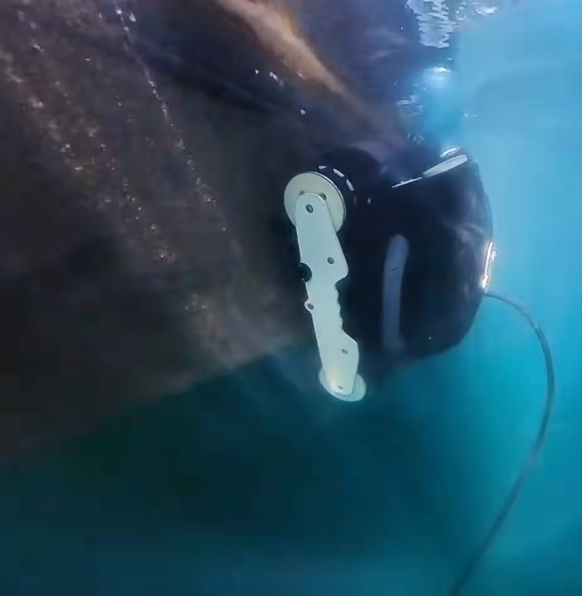 Live hull monitoring with Keel Crab controller